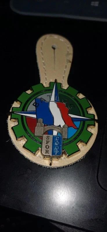 SFOR Train Logistic Battalion Badge – photo 2